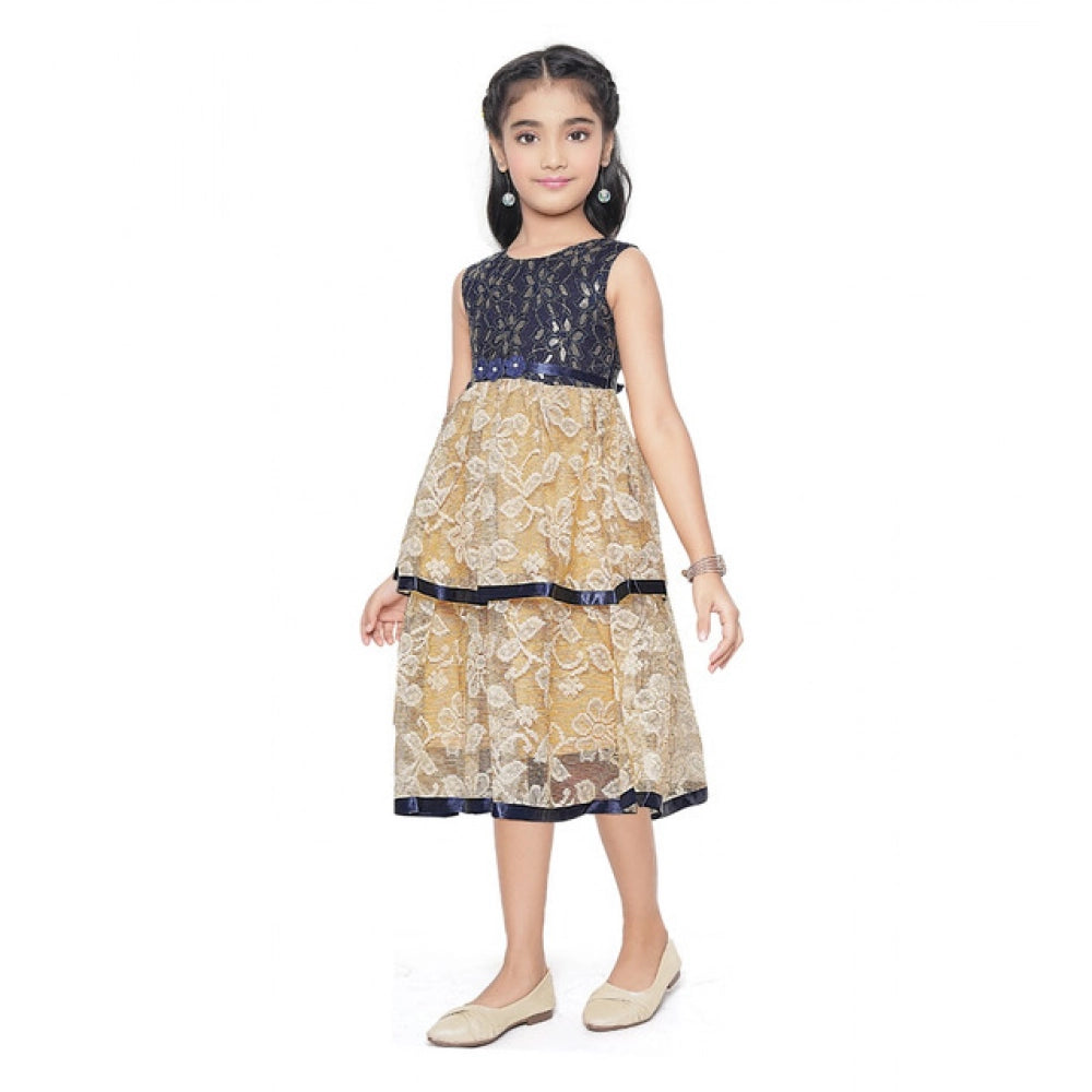 Girl's Fancy Net Net Sleeve Less Round Neck Dress (Blue)